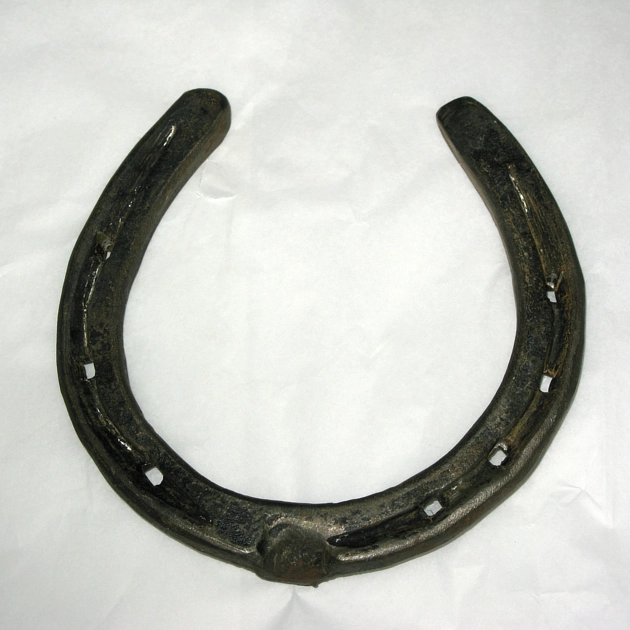 Thận móng ngựa (Horseshoe kidney)