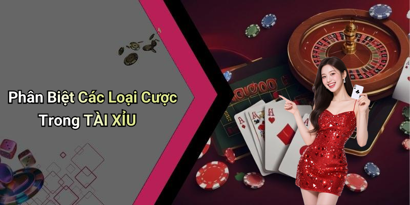 Phân Biệt Các Loại Cược Trong TÀI XỈU