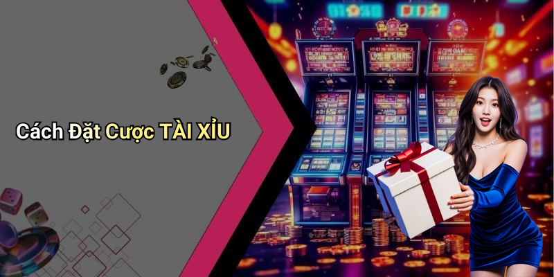 Cách Đặt Cược TÀI XỈU