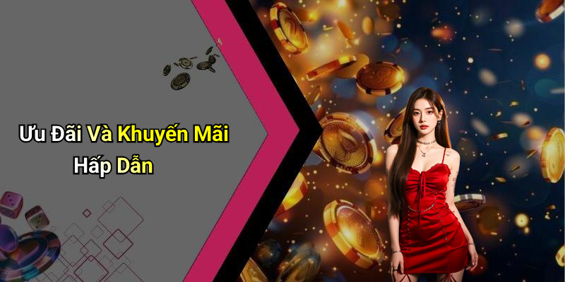 Ưu Đãi Và Khuyến Mãi Hấp Dẫn