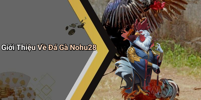 Giới Thiệu Về Đá Gà Nohu28
