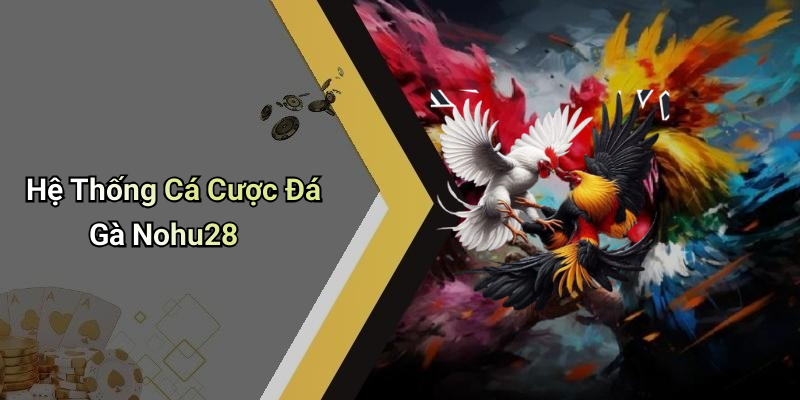 Hệ Thống Cá Cược Đá Gà Nohu28