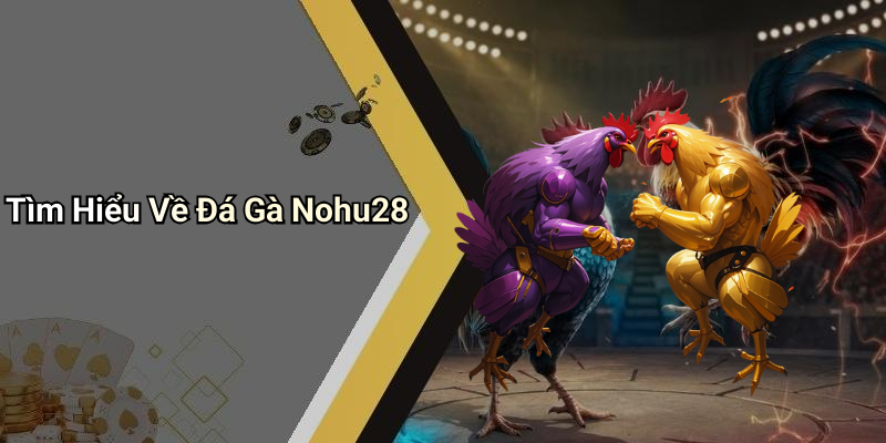 Tìm Hiểu Về Đá Gà Nohu28