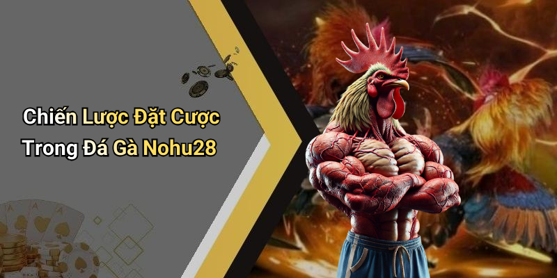 Chiến Lược Đặt Cược Trong Đá Gà Nohu28