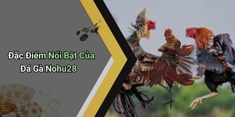 Đặc Điểm Nổi Bật Của Đá Gà Nohu28