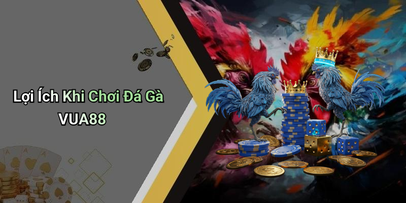 Lợi Ích Khi Chơi Đá Gà VUA88