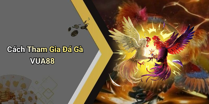 Cách Tham Gia Đá Gà VUA88