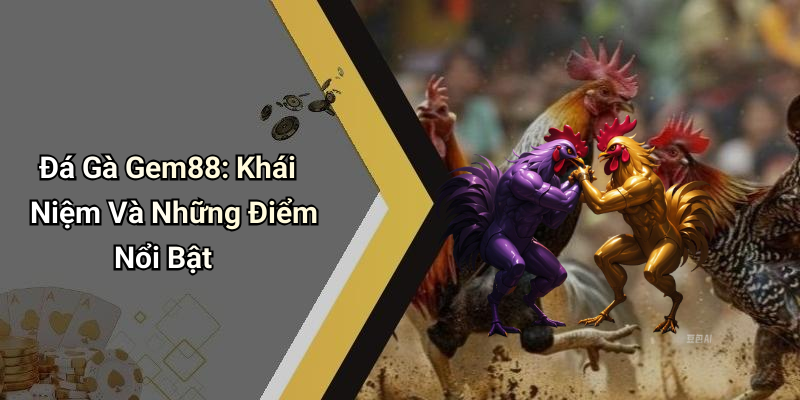 Đá Gà Gem88: Khái Niệm Và Những Điểm Nổi Bật