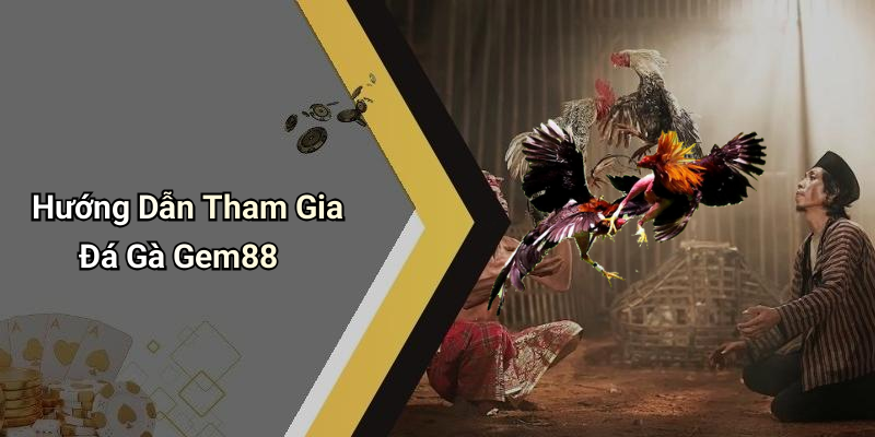Hướng Dẫn Tham Gia Đá Gà Gem88