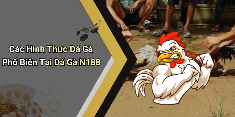 Các Hình Thức Đá Gà Phổ Biến Tại Đá Gà N188