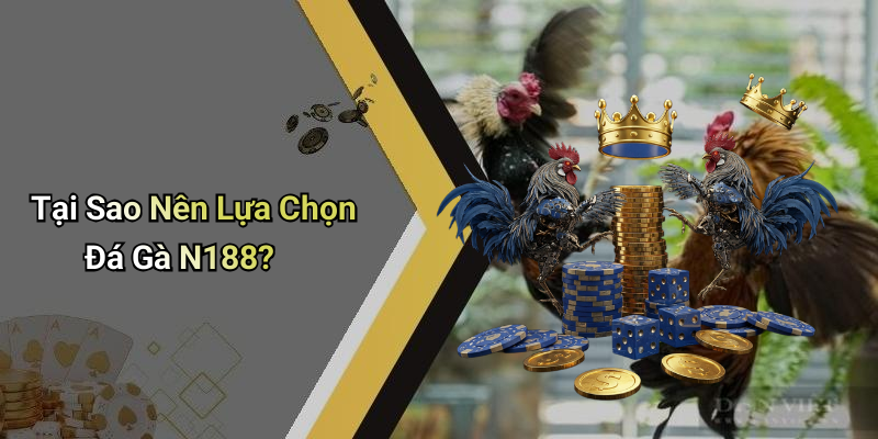 Tại Sao Nên Lựa Chọn Đá Gà N188?