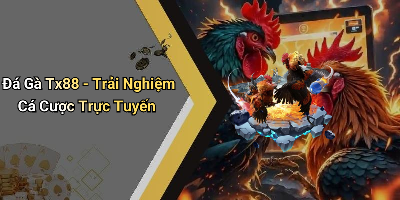 Đá Gà Tx88 - Trải Nghiệm Cá Cược Trực Tuyến
