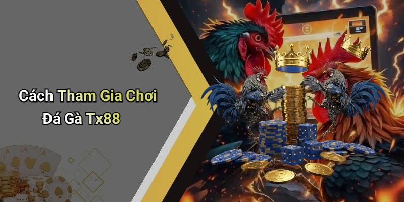 Cách Tham Gia Chơi Đá Gà Tx88