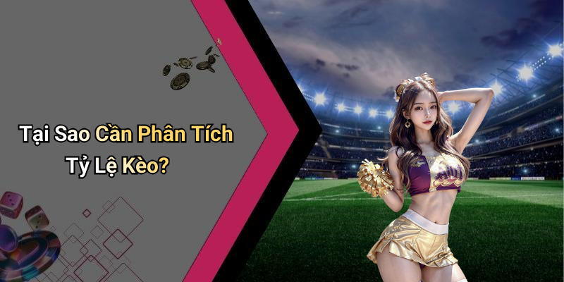 Tại Sao Cần Phân Tích Tỷ Lệ Kèo?