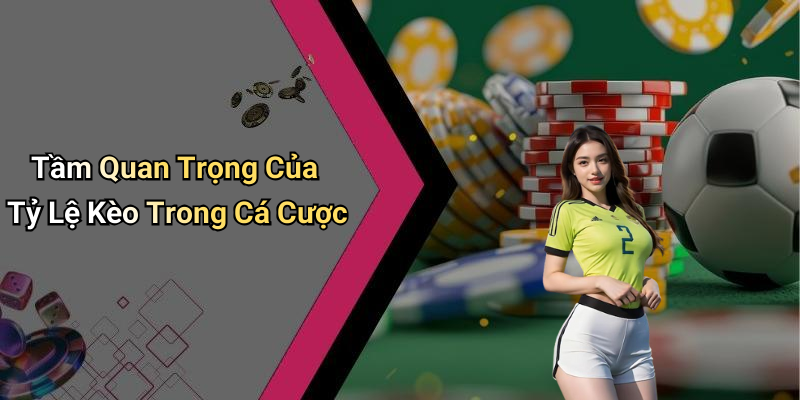 Tầm Quan Trọng Của Tỷ Lệ Kèo Trong Cá Cược