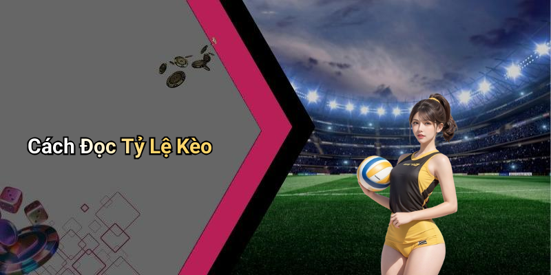 Cách Đọc Tỷ Lệ Kèo