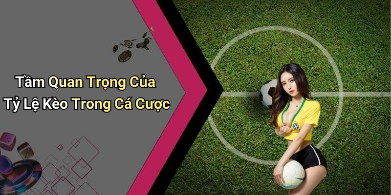 Tầm Quan Trọng Của Tỷ Lệ Kèo Trong Cá Cược