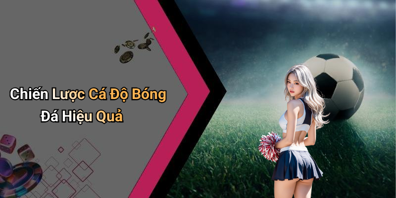Chiến Lược Cá Độ Bóng Đá Hiệu Quả
