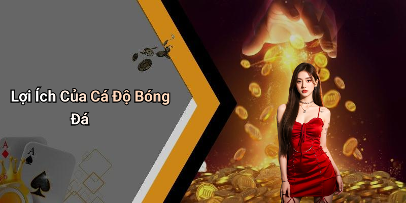 Lợi Ích Của Cá Độ Bóng Đá