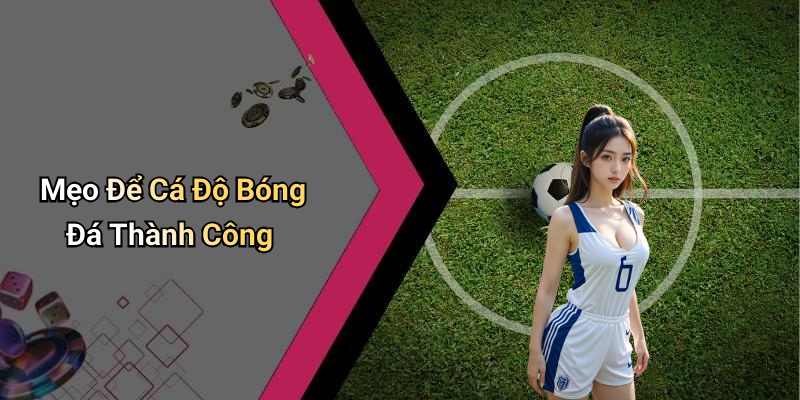 Mẹo Để Cá Độ Bóng Đá Thành Công