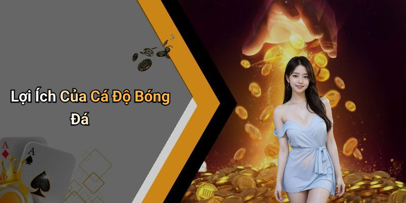 Lợi Ích Của Cá Độ Bóng Đá