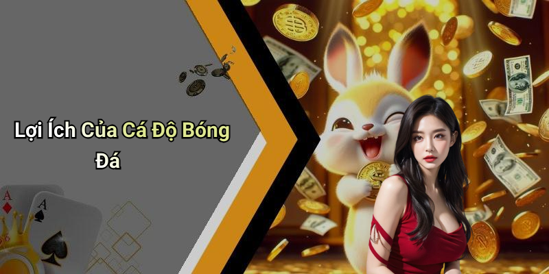 Lợi Ích Của Cá Độ Bóng Đá