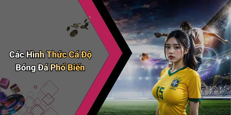 Các Hình Thức Cá Độ Bóng Đá Phổ Biến