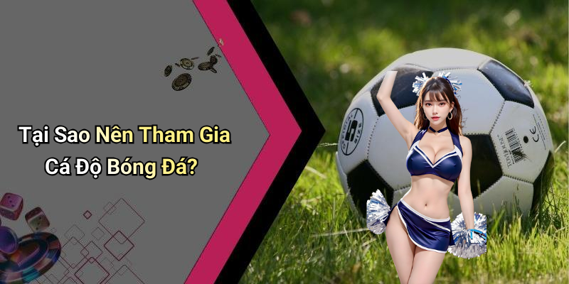 Tại Sao Nên Tham Gia Cá Độ Bóng Đá?