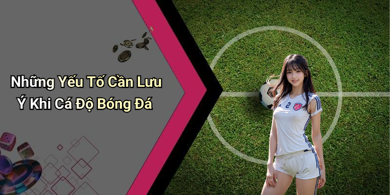 Những Yếu Tố Cần Lưu Ý Khi Cá Độ Bóng Đá