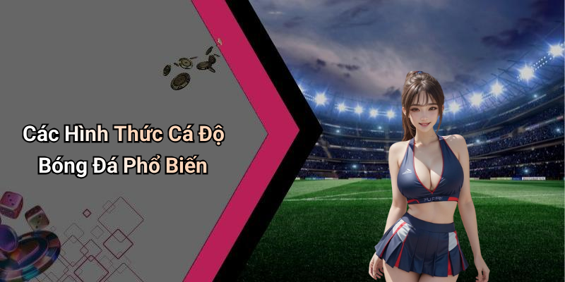 Các Hình Thức Cá Độ Bóng Đá Phổ Biến