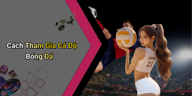 Cách Tham Gia Cá Độ Bóng Đá
