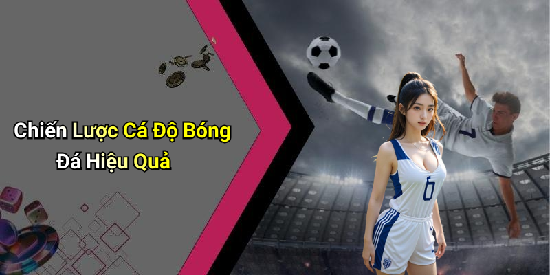 Chiến Lược Cá Độ Bóng Đá Hiệu Quả