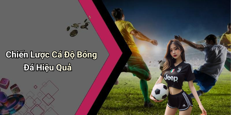 Chiến Lược Cá Độ Bóng Đá Hiệu Quả
