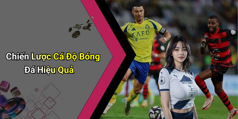 Chiến Lược Cá Độ Bóng Đá Hiệu Quả