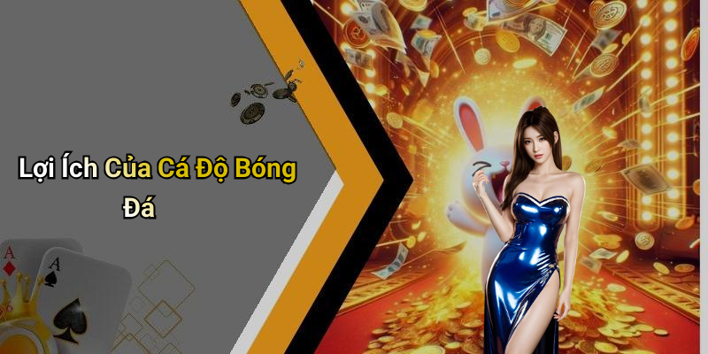 Lợi Ích Của Cá Độ Bóng Đá