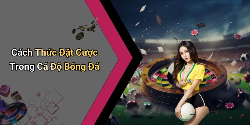 Cách Thức Đặt Cược Trong Cá Độ Bóng Đá