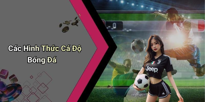 Các Hình Thức Cá Độ Bóng Đá