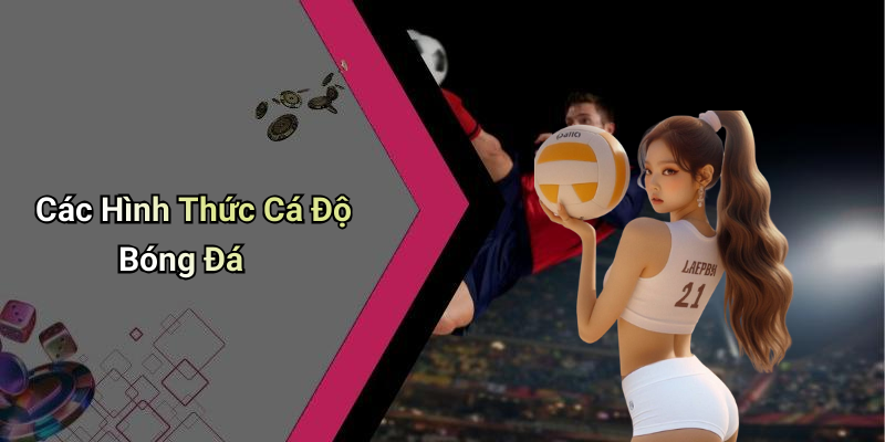 Các Hình Thức Cá Độ Bóng Đá