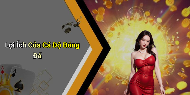 Lợi Ích Của Cá Độ Bóng Đá