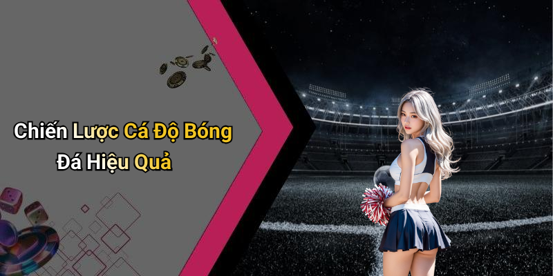 Chiến Lược Cá Độ Bóng Đá Hiệu Quả