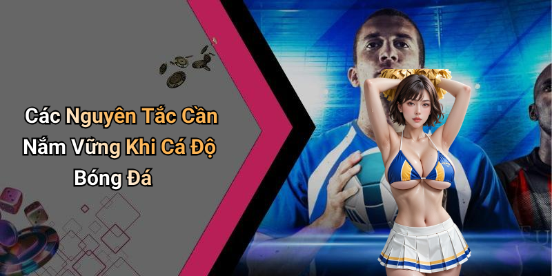 Các Nguyên Tắc Cần Nắm Vững Khi Cá Độ Bóng Đá