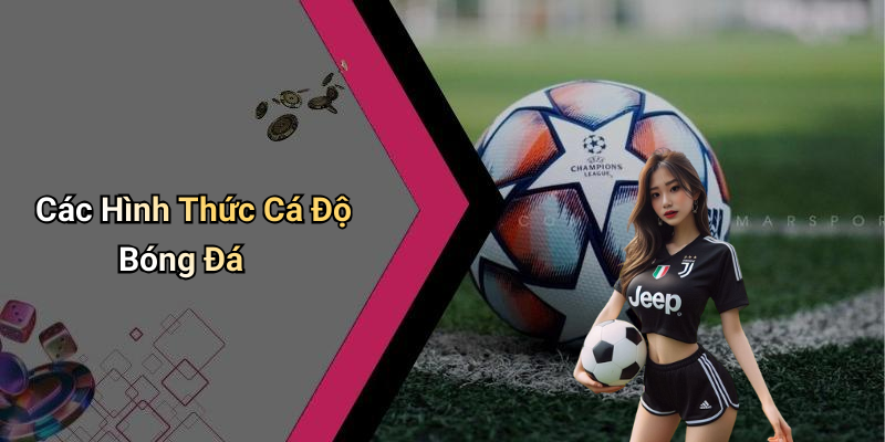 Các Hình Thức Cá Độ Bóng Đá