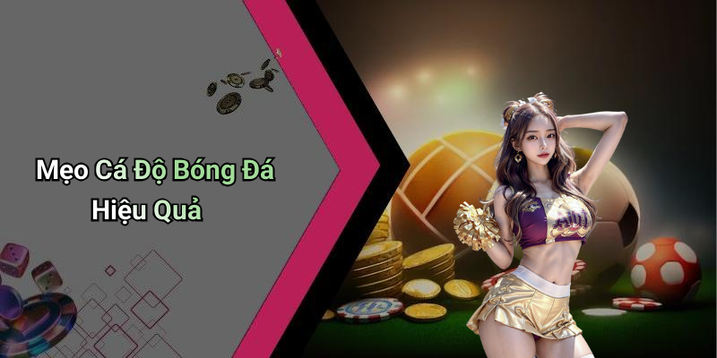Mẹo Cá Độ Bóng Đá Hiệu Quả