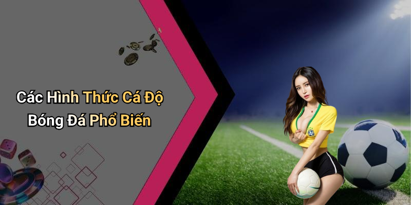 Các Hình Thức Cá Độ Bóng Đá Phổ Biến