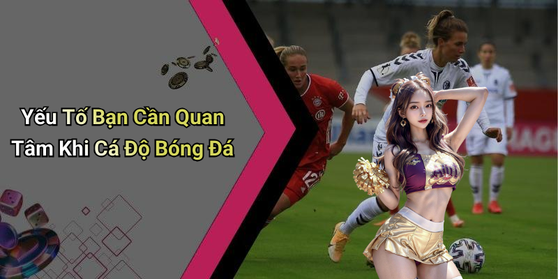 Yếu Tố Bạn Cần Quan Tâm Khi Cá Độ Bóng Đá