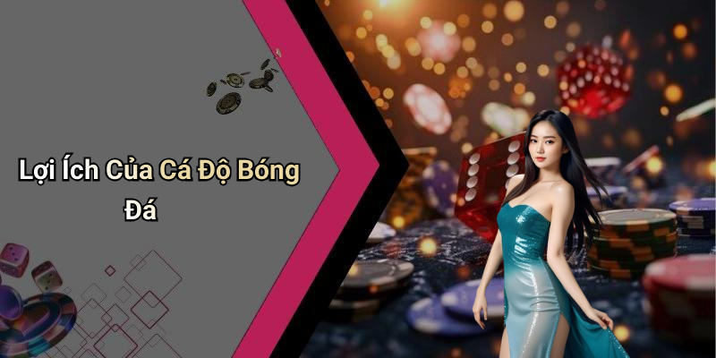 Lợi Ích Của Cá Độ Bóng Đá