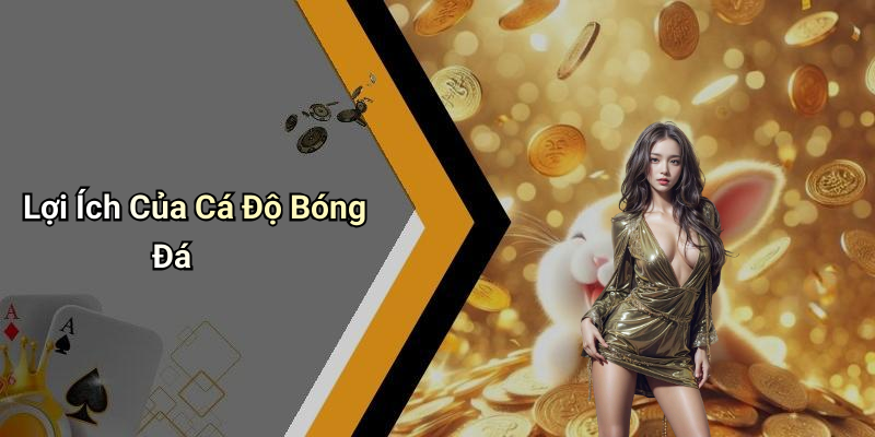Lợi Ích Của Cá Độ Bóng Đá