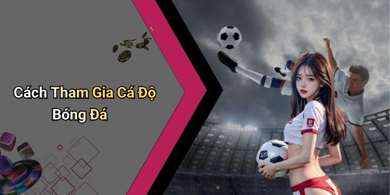 Cách Tham Gia Cá Độ Bóng Đá