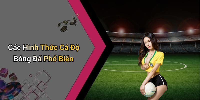 Các Hình Thức Cá Độ Bóng Đá Phổ Biến