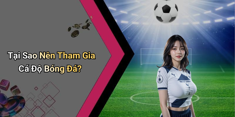 Tại Sao Nên Tham Gia Cá Độ Bóng Đá?